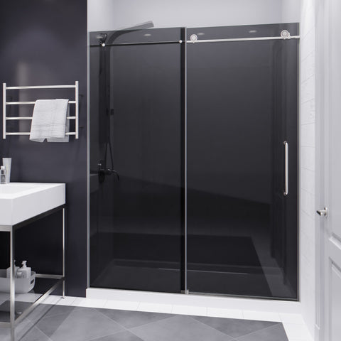 Leon Series 60 in. by 76 in. Frameless Sliding Shower Door with Handle