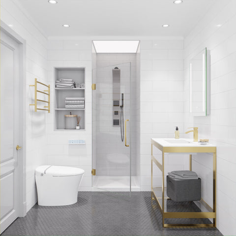 Passion Series 30 in. by 72 in. Frameless Hinged Shower Door with Handle