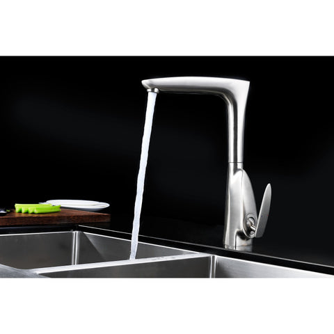 ANZZI Timbre Series Single-Handle Standard Kitchen Faucet