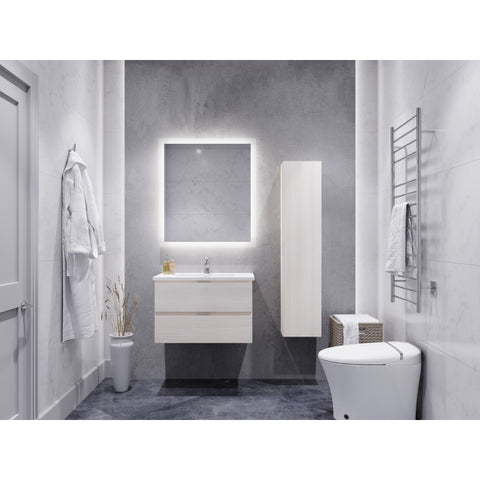 30 in. W x 20 in. H x 18 in. D Bath Vanity Set with Vanity Top in White with White Basin and Mirror
