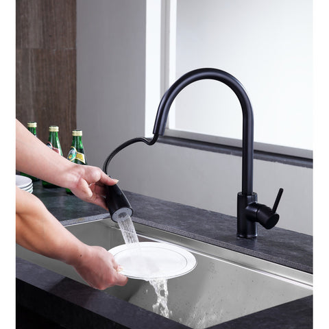 Sire Single-Handle Pull-Out Sprayer Kitchen Faucet