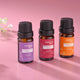 Steam Bath Scented Aromatherapy Pure Extract Essential Oils Collection Package Universaly Compatible with Steam Head