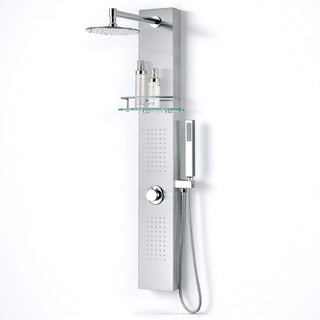 Coastal Series 44 in. 2-Jetted Full Body Shower Panel System in Brushed Steel with Heavy Rain Showerhead and Spray Wand