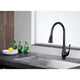KF-AZ217ORB - ANZZI Meadow Single-Handle Pull-Out Sprayer Kitchen Faucet in Oil Rubbed Bronze