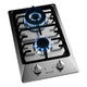 12 in. Gas Cooktop in Stainless Steel with 2 Burners, Gas Regulator and LP Kit