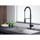 KF-AZ209ORB - Bastion Single-Handle Standard Kitchen Faucet in Oil Rubbed Bronze