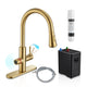 Sunset 4-in-1 Single Handle 17.5 in. Faucet for Instant Hot Water Dispensor with Boiler Tank and Filter in Brushed Gold