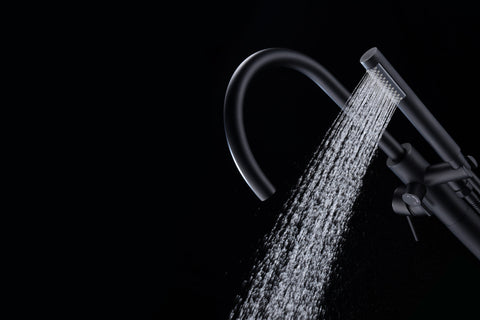 Coral Series 2-Handle Freestanding Tub Faucet with 60 in. Euro-Grip Hand Sprayer in Oil Rubbed Bronze