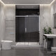 ANZZI Rhodes Series 60 in. x 76 in. Frameless Sliding Shower Door with Handle