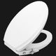 ANZZI Minnow Manual Bidet Seat
