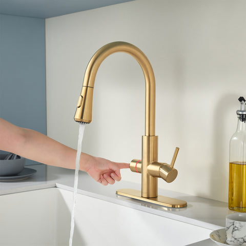 Sunset 4-in-1 Single Handle 17.5 in. Faucet for Instant Hot Water Dispensor with Boiler Tank and Filter in Brushed Gold