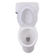 ANZZI Talos 2-piece 1.28 GPF Single Flush Elongated Toilet in White