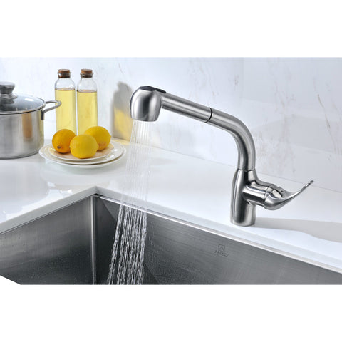 Harbour Single-Handle Pull-Out Sprayer Kitchen Faucet in Brushed Nickel Harbour Single-Handle Pull-Out Sprayer Kitchen Faucet in Brushed Nickel