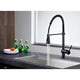 Carriage Single-Handle Standard Kitchen Faucet in Oil Rubbed Bronze