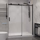 Rhodes Series Sliding Frameless Shower Door with Tsunami Guard Tempered Glass