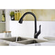 ANZZI Accent Series Single-Handle Pull-Down Sprayer Kitchen Faucet