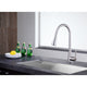 KF-AZ216BN - ANZZI Tulip Single-Handle Pull-Out Sprayer Kitchen Faucet in Brushed Nickel
