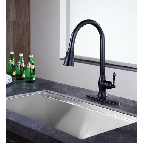 Rodeo Single-Handle Pull-Out Sprayer Kitchen Faucet