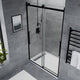 ANZZI Stellar Series 60 in. x 76 in. Frameless Sliding Shower Door with Handle