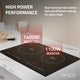Aurora Collection 20 in. Induction Cooktop in Black with Child Safety Lock, Auto Switch Off, and Dual-Zone Control