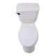 ANZZI Talos 2-piece 1.28 GPF Single Flush Elongated Toilet in White