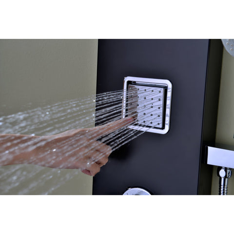 Ronin 52 in. 2-Jetted Full Body Shower Panel with Heavy Rain Shower and Spray Wand