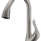 Accent Series Single-Handle Pull-Down Sprayer Kitchen Faucet in Brushed Nickel