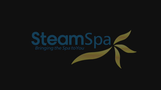 1-Person Indoor PP Plastic 900 Watt Portable Steam Home Sauna with Digital Controller and Foldable Chair, Silver