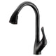 Accent Series Single-Handle Pull-Down Sprayer Kitchen Faucet