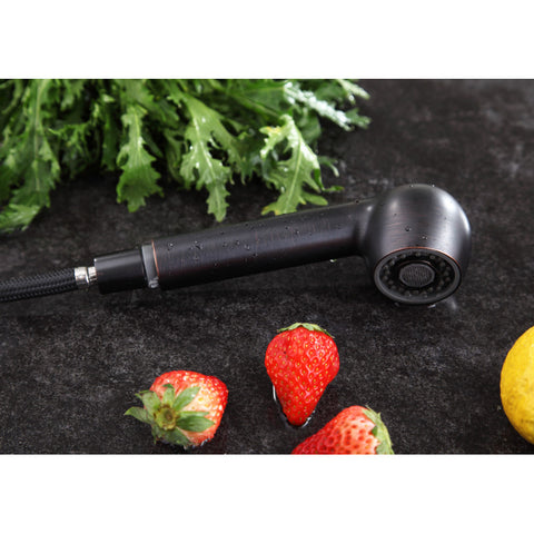 ANZZI Del Acqua Single-Handle Pull-Out Sprayer Kitchen Faucet