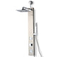 Dion Series 39 in. 2-Jetted Shower with Heavy Rain Showerhead and Spray Wand, Full Body Shower System in Brushed Nickel