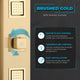 Dion Series 39 in. 2-Jetted Shower Tower with Heavy Rain Showerhead and Spray Wand, Full Body Shower System in Gold