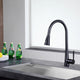ANZZI Tulip Series 17.72 in.H Single-Handle Pull-Out Sprayer Kitchen Faucet with Brass Material in Oil Rubbed Bronze Finish