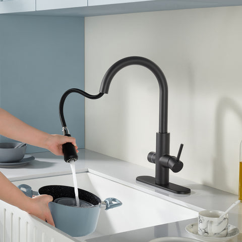 Sunset 4-in-1 Single Handle 17.5 in. Faucet for Instant Hot Water Dispensor with Boiler Tank and Filter in Matte Black