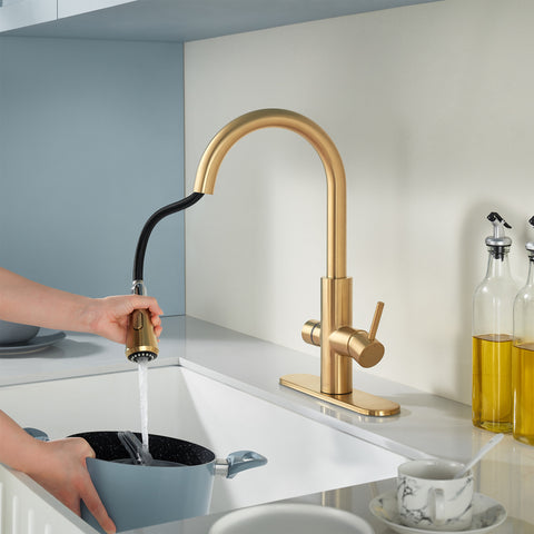 Sunset 4-in-1 Single Handle 17.5 in. Faucet for Instant Hot Water Dispensor with Boiler Tank and Filter in Brushed Gold