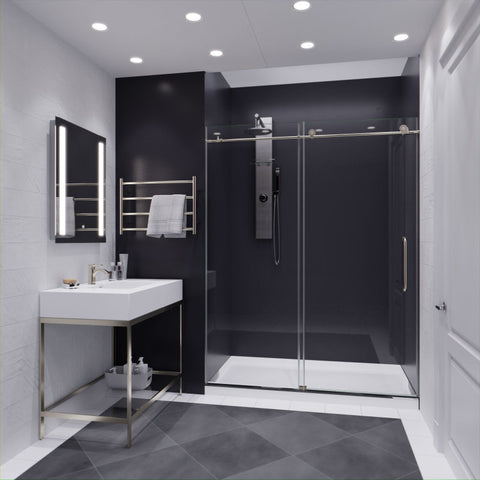 Lone Series 60 in. by 76 in. Frameless Sliding Shower Door with Handle