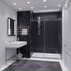 ANZZI Leon Series 60 in. by 76 in. Frameless Sliding Shower Door with Handle