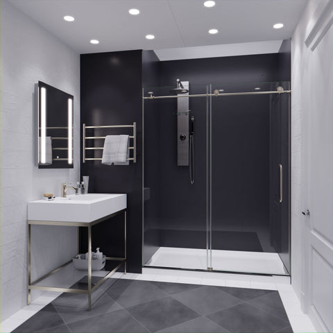 ANZZI Leon Series 60 in. by 76 in. Frameless Sliding Shower Door with Handle